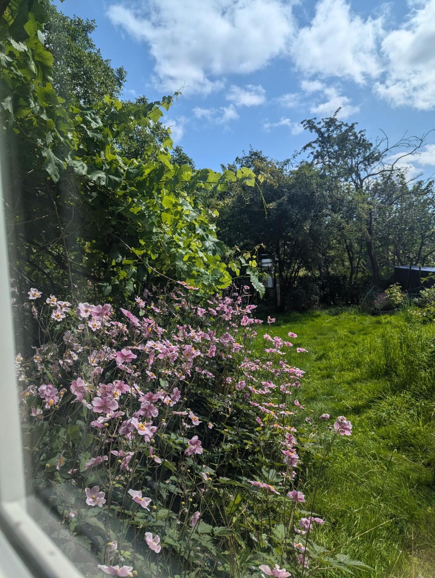 Lejlighed Ved Skov Græsted Buitenkant foto