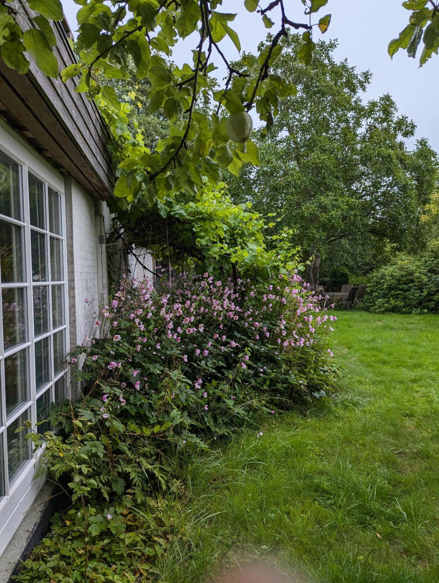 Lejlighed Ved Skov Græsted Buitenkant foto